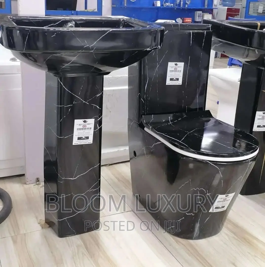 Ivy Black Marble Water Closet