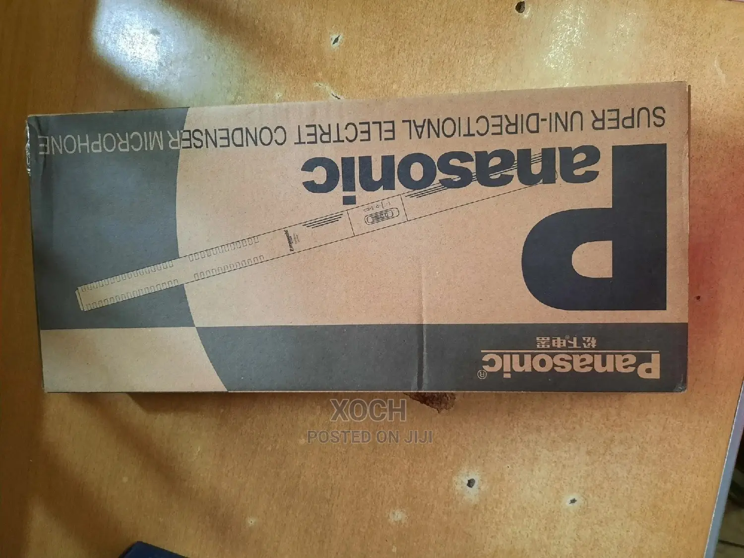 Panasonic Boom Mic