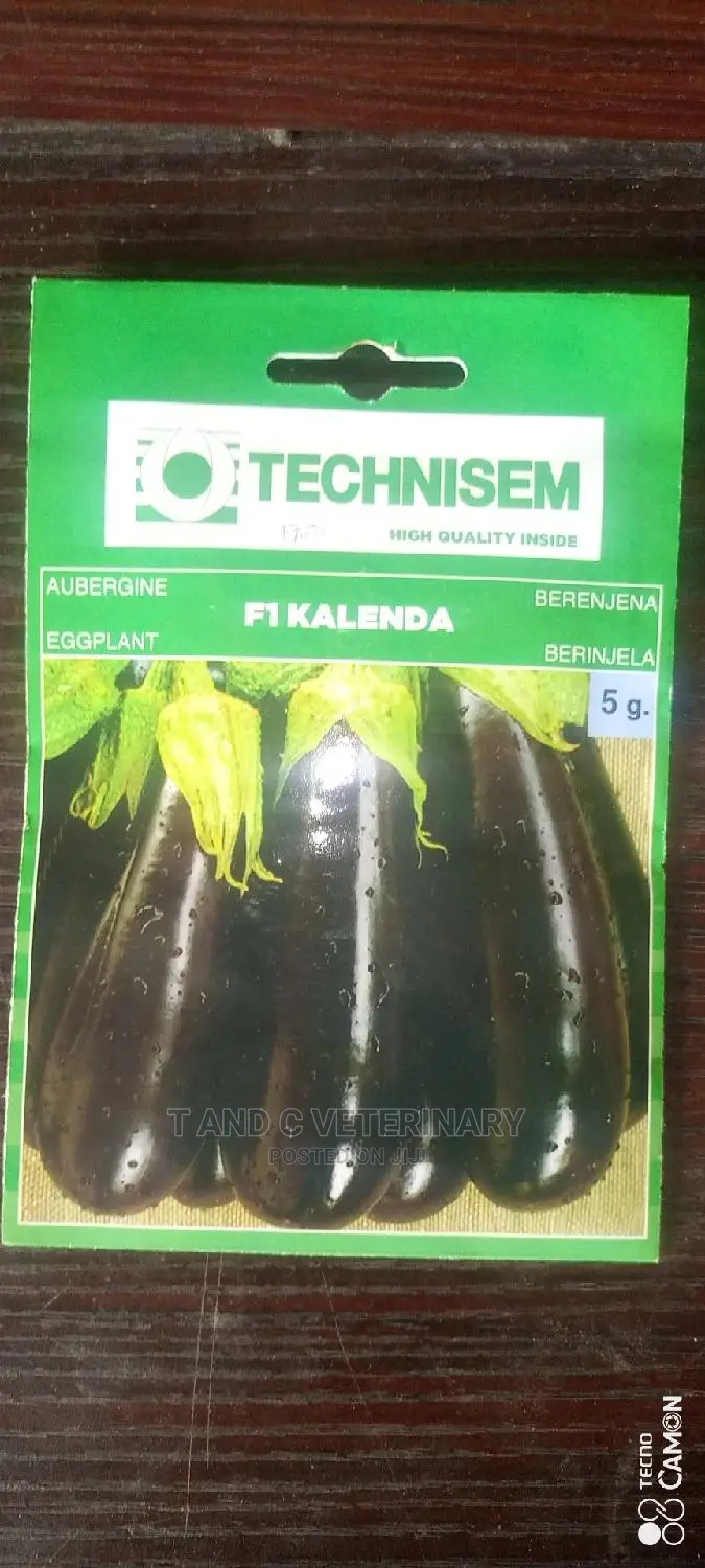 Eggplant Seeds F1 Kalender