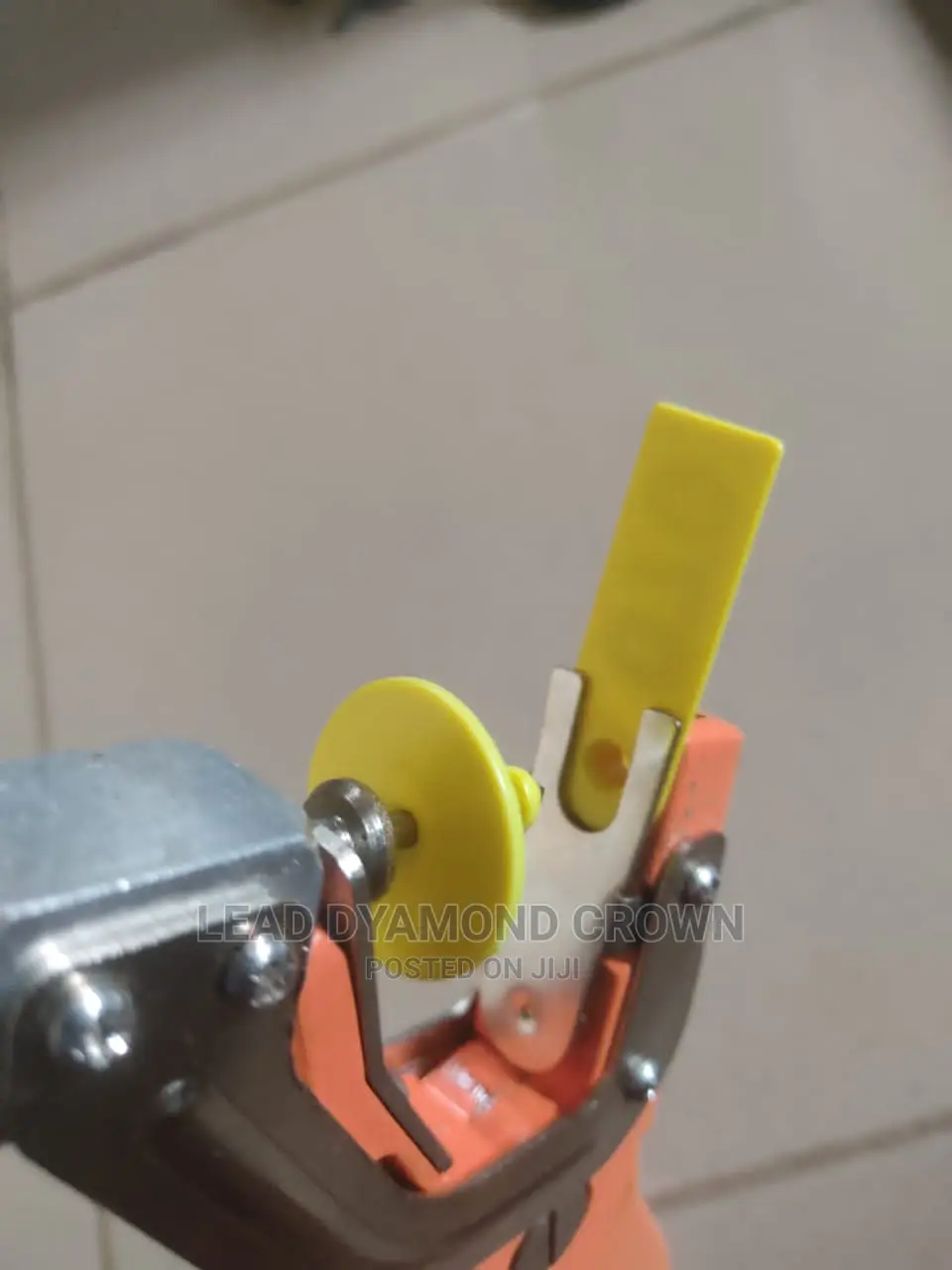 Animals Ear Tag