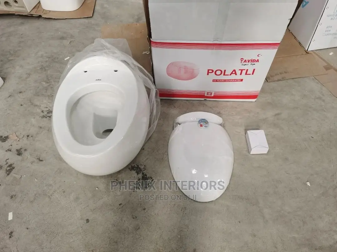 Wall Hung Concealed Water Closet Toilet