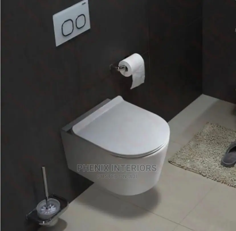Wall Hung Concealed Water Closet Toilet