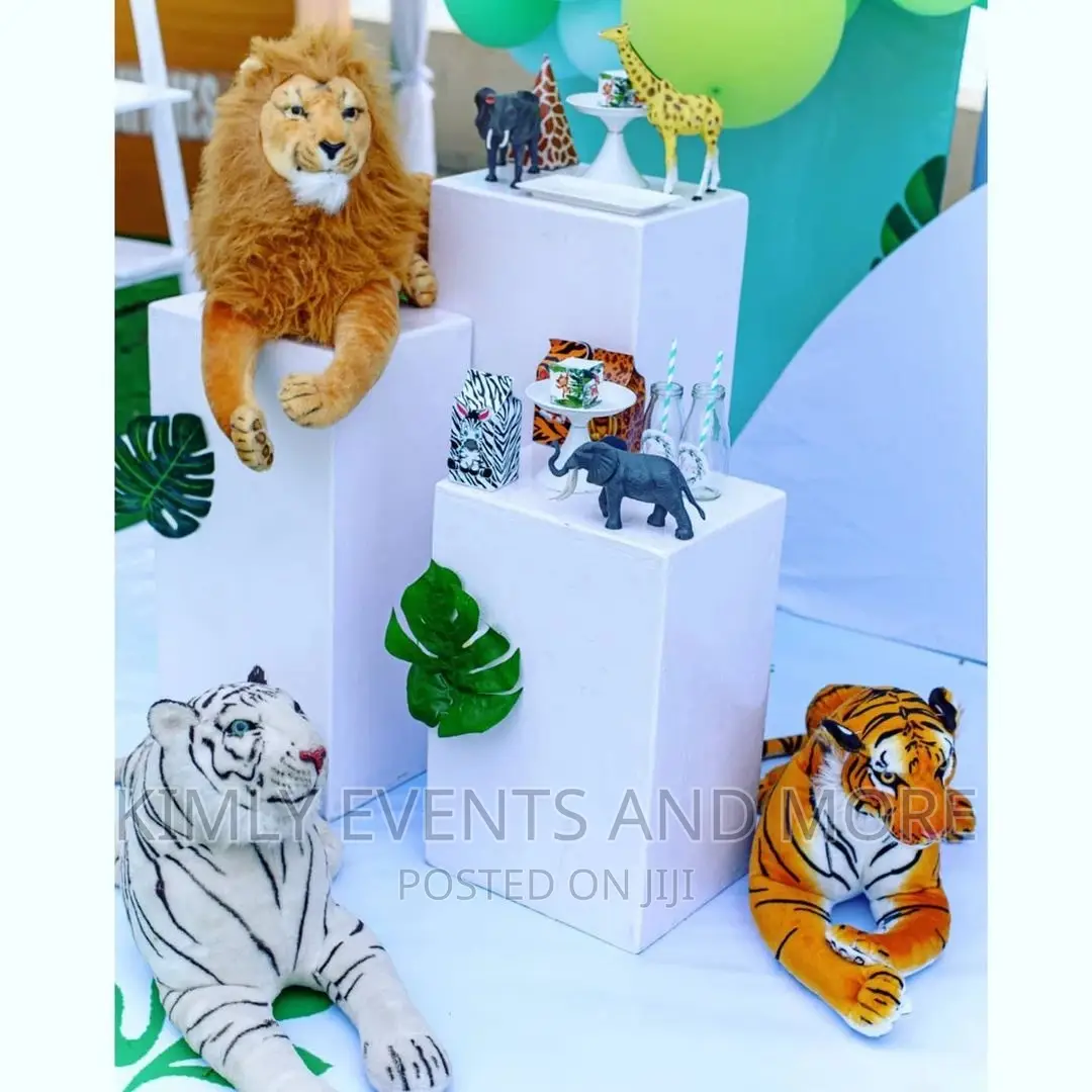 Kidies Event Party and Decor