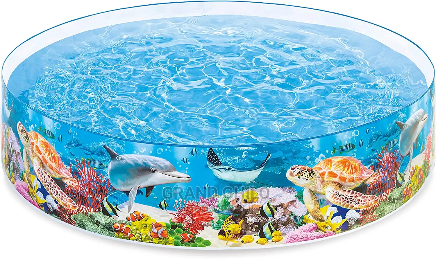 Intex Coral Reef Snapset Pool