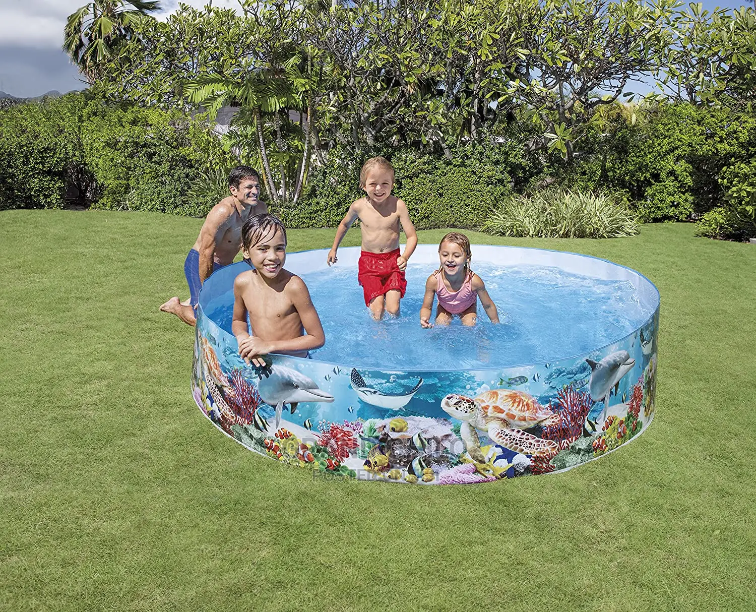 Intex Coral Reef Snapset Pool