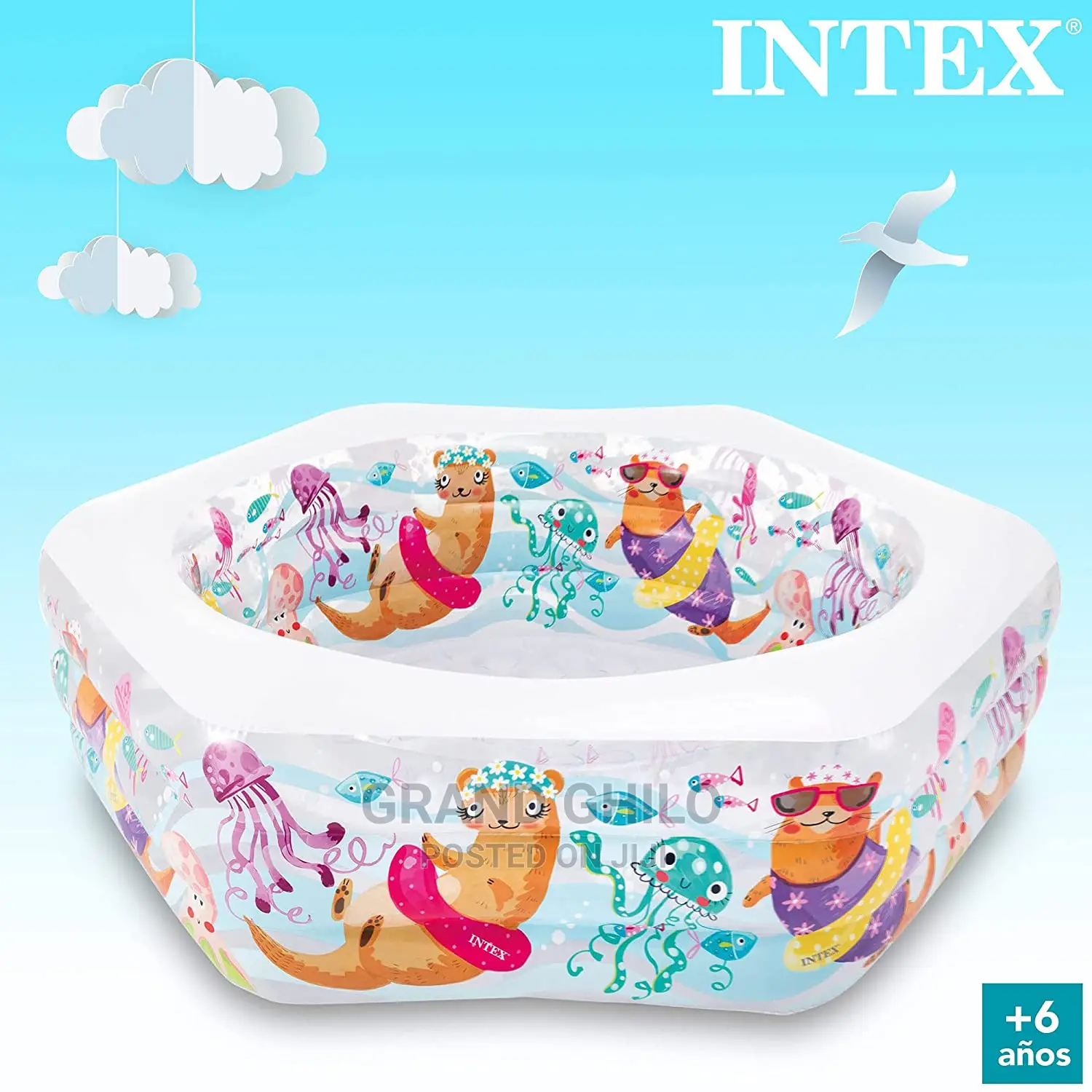 Intex Ocean Reef Inflatable Pool