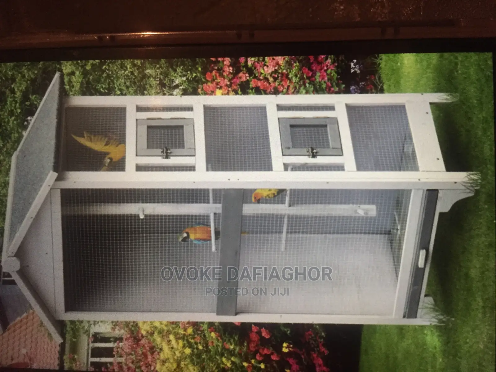 Aviary: Large Enclosure for Keeping Different Kind of Birds,