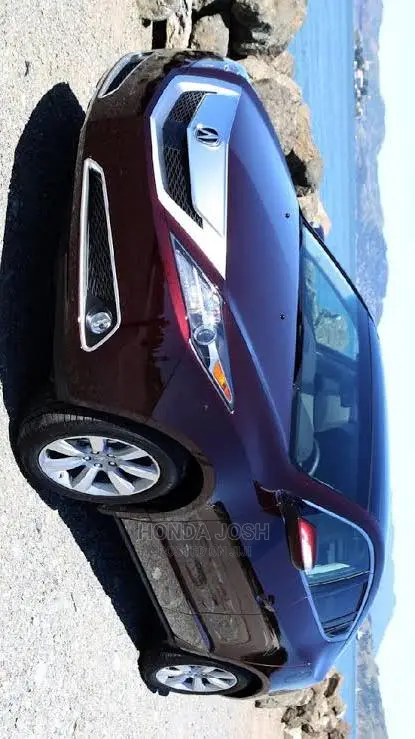 Front Bumper 2012 Acura ZDX