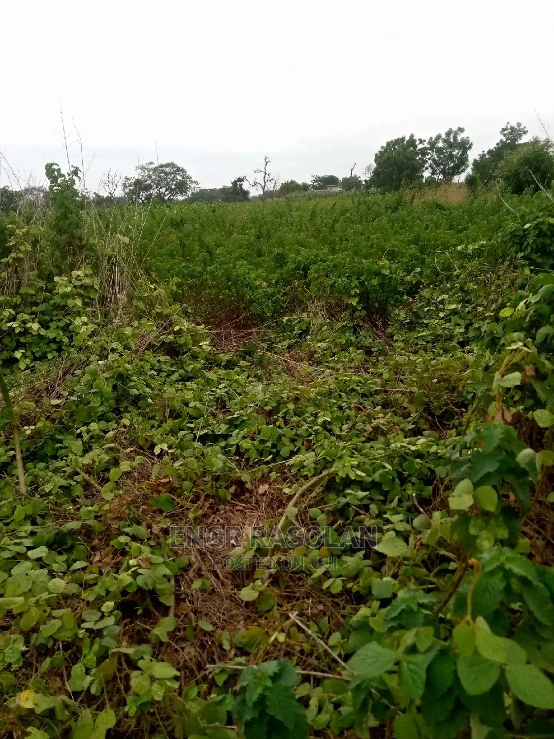 Land for at Ara Village Inside Kwara State Polytechnic I