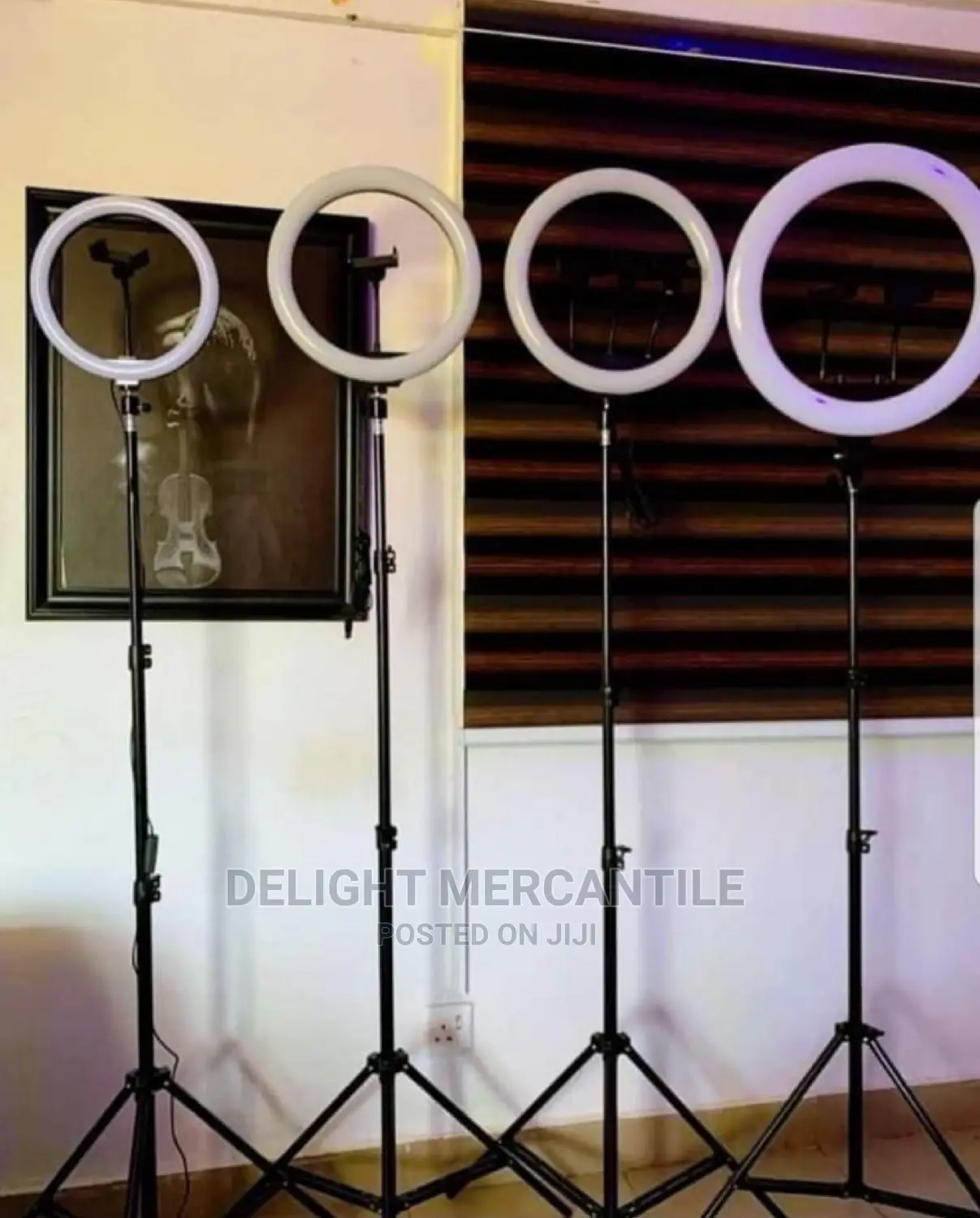 Ring Light 12 Inches