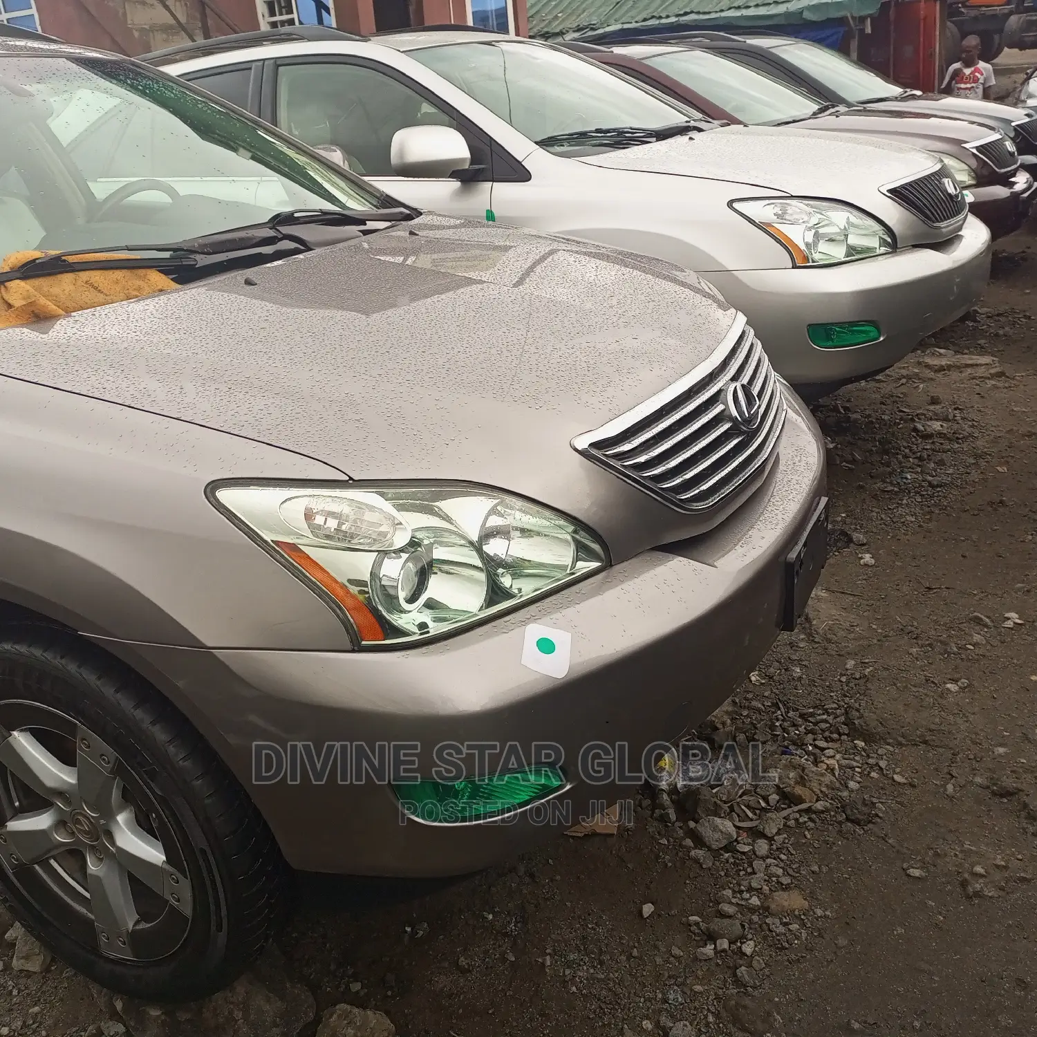 Lexus RX 330 2006 Brown