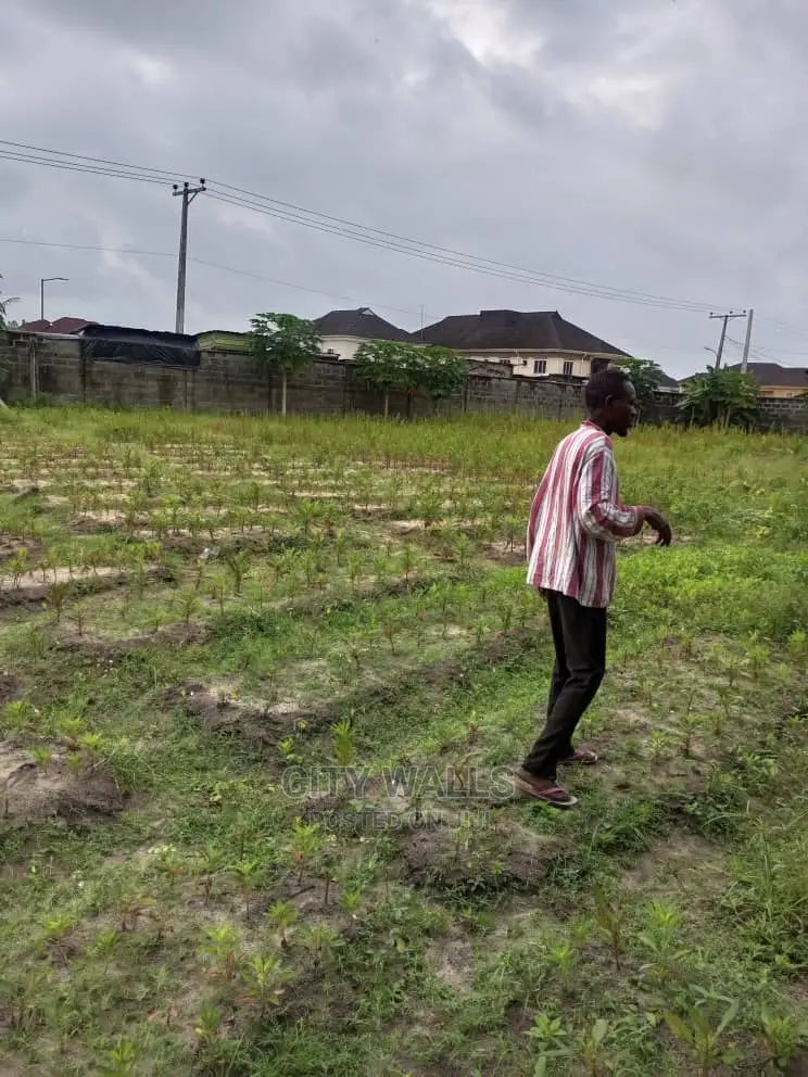 3 Plot of Commercial Land at Awoyaya