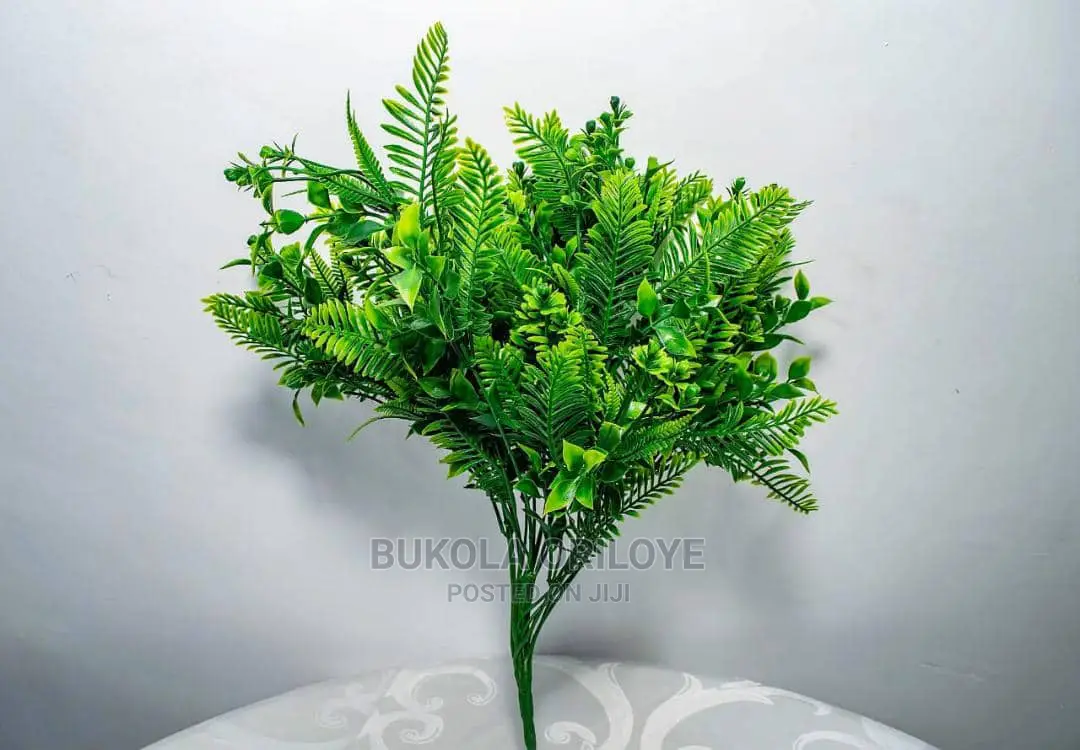Murayas Filler Flowers Available for Rent