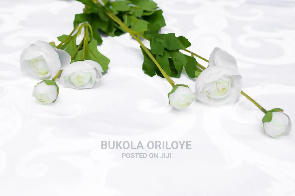 White Long Stem Peony for Rent