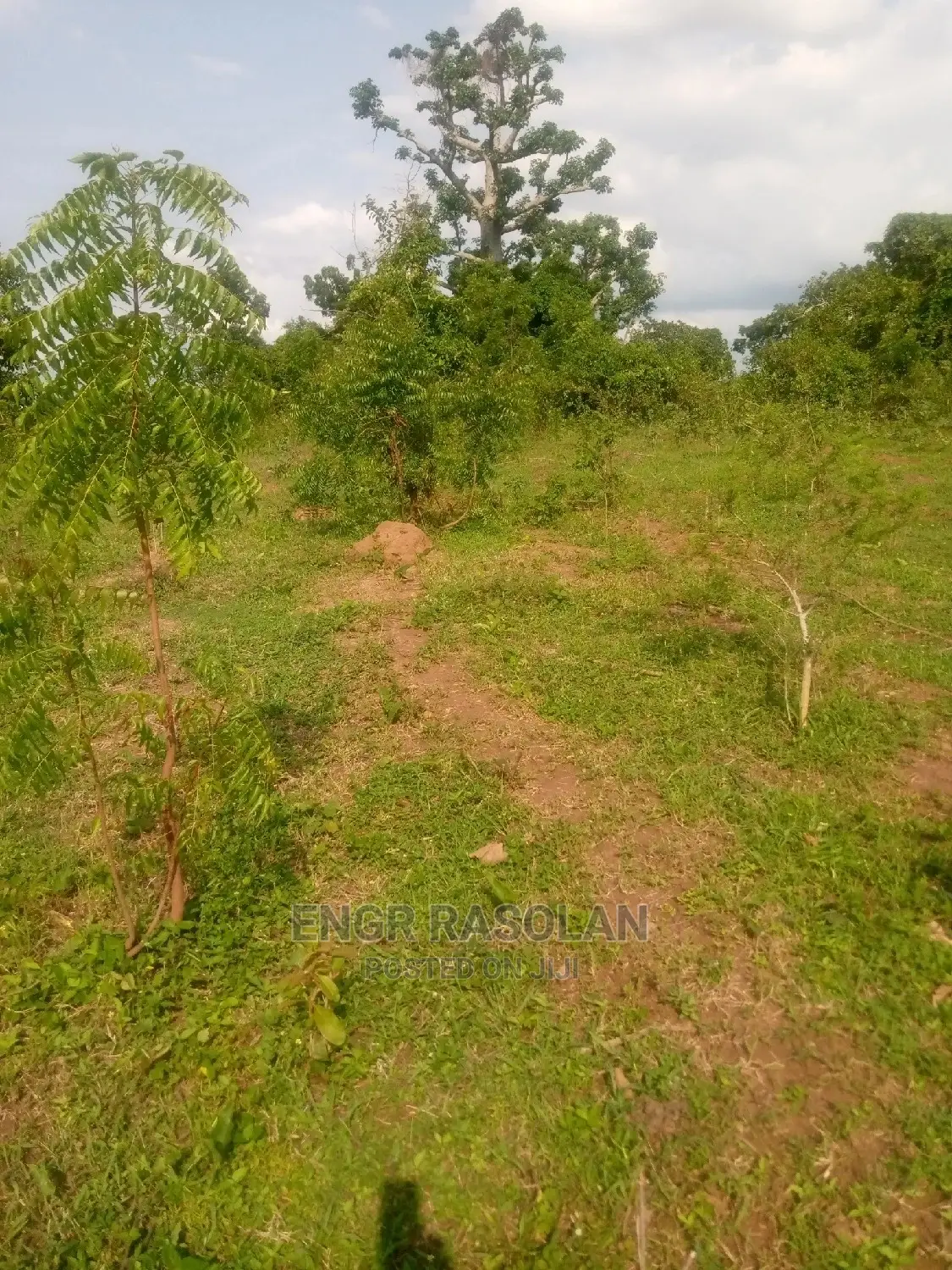 Virgin and Farm Land for Sale