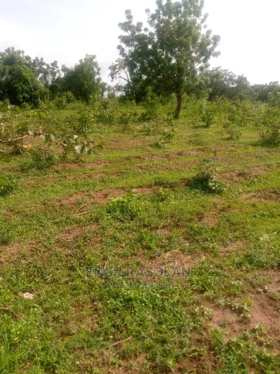 Virgin and Farm Land for Sale