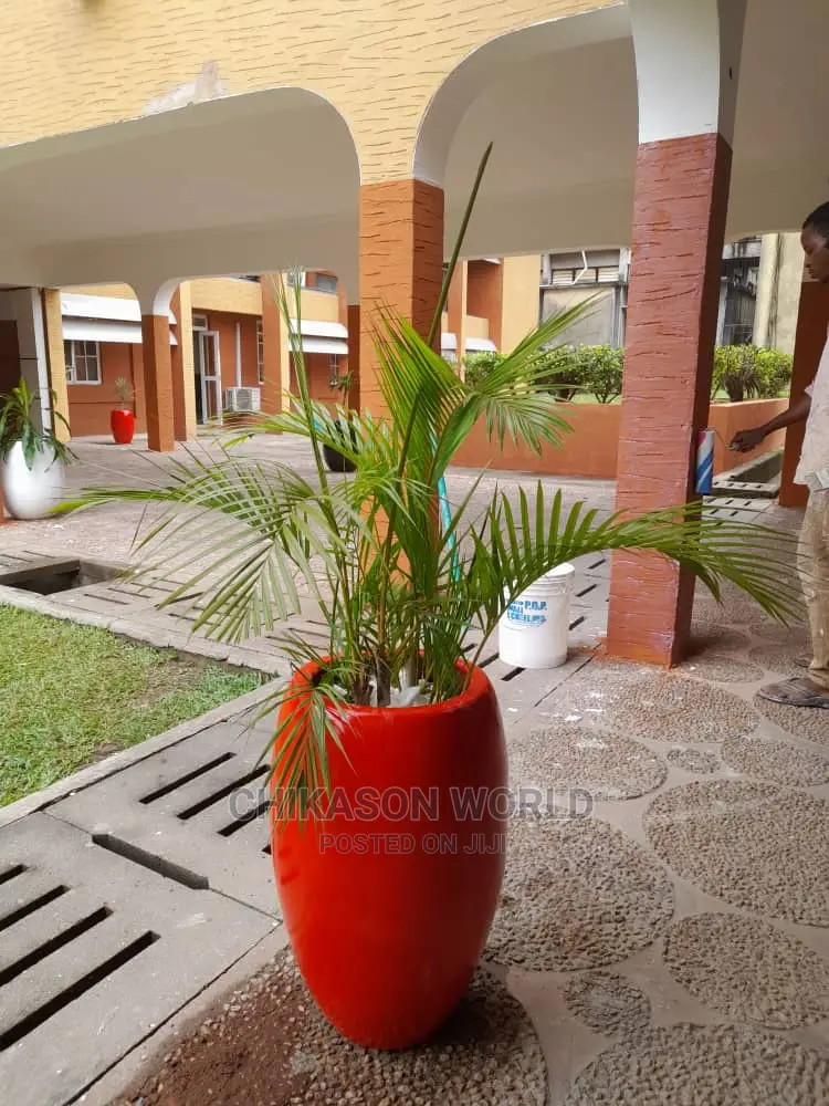 Plants 🪴 Flower and Vase
