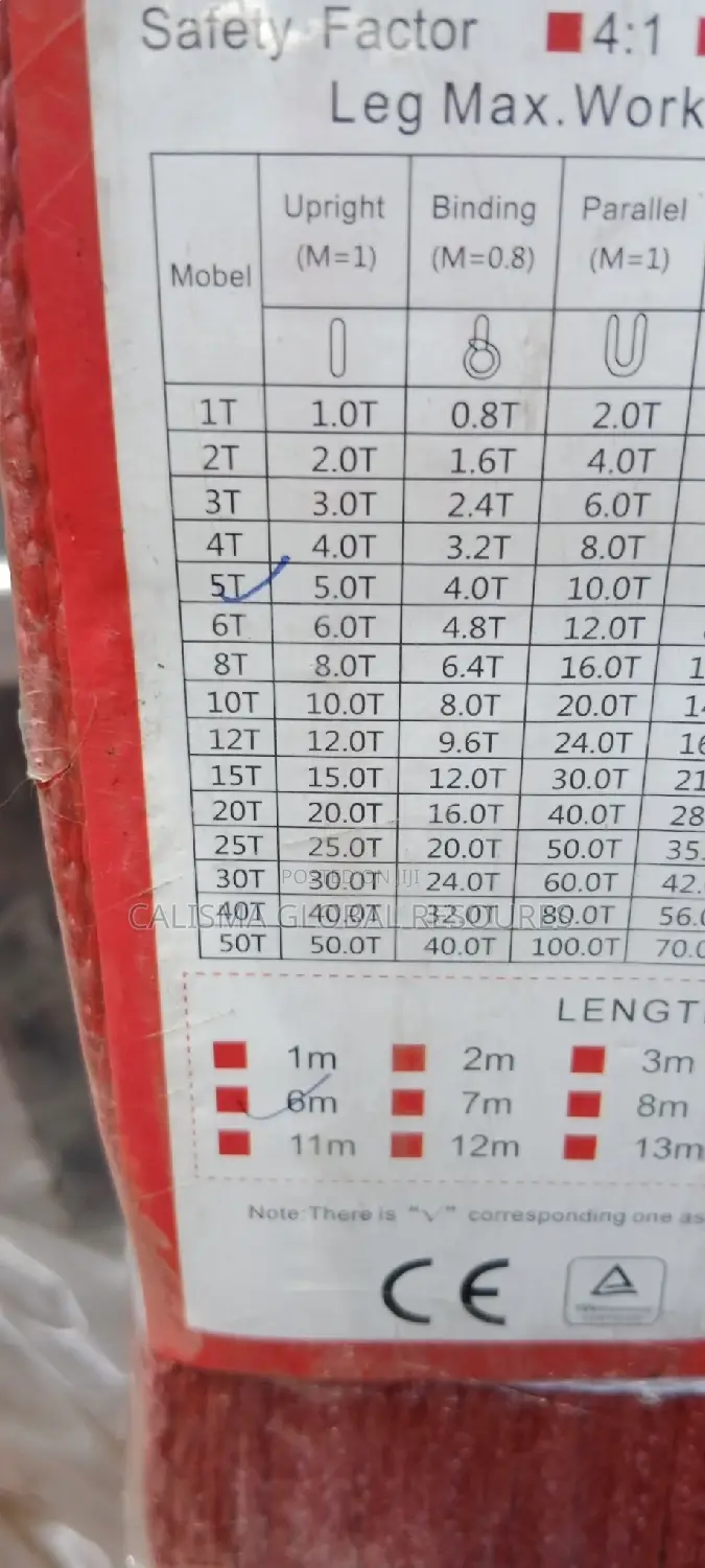 Lifting Belt 5 Tonnes