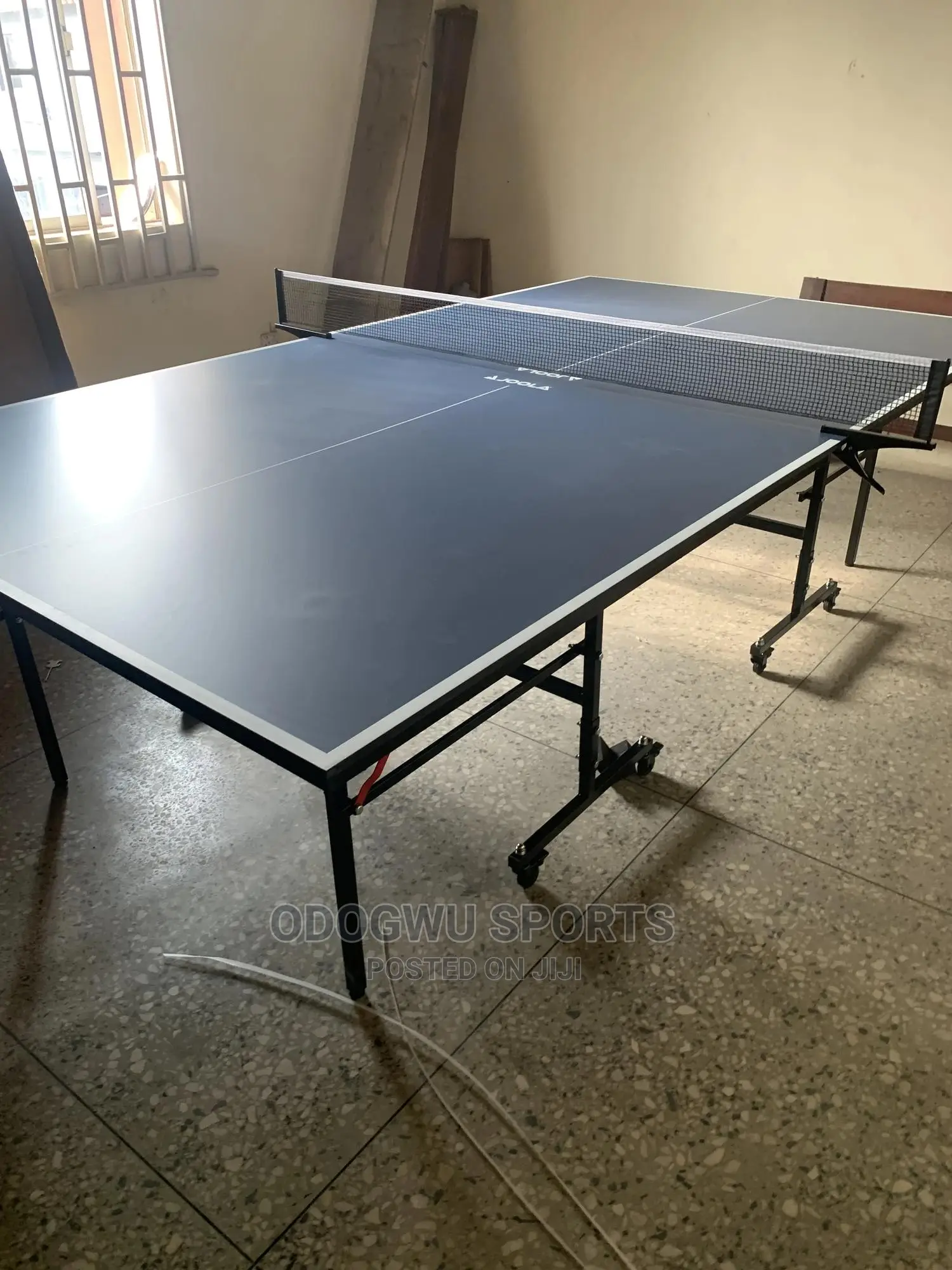 Table Tennis Board (Indoor)