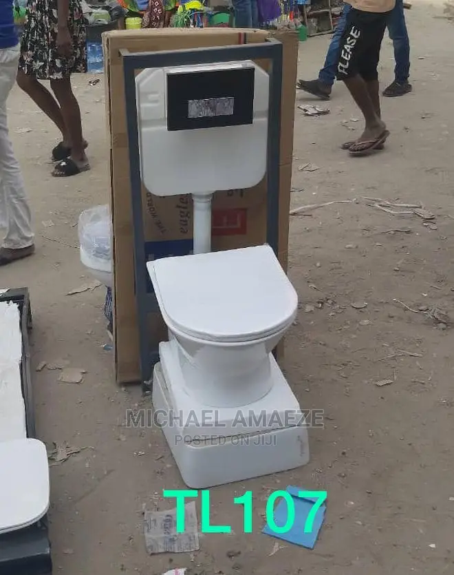 Wall Hang Water Closet