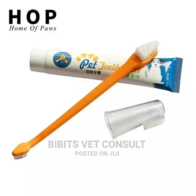 Pet Dog Cat Toothpaste Dental Care Set