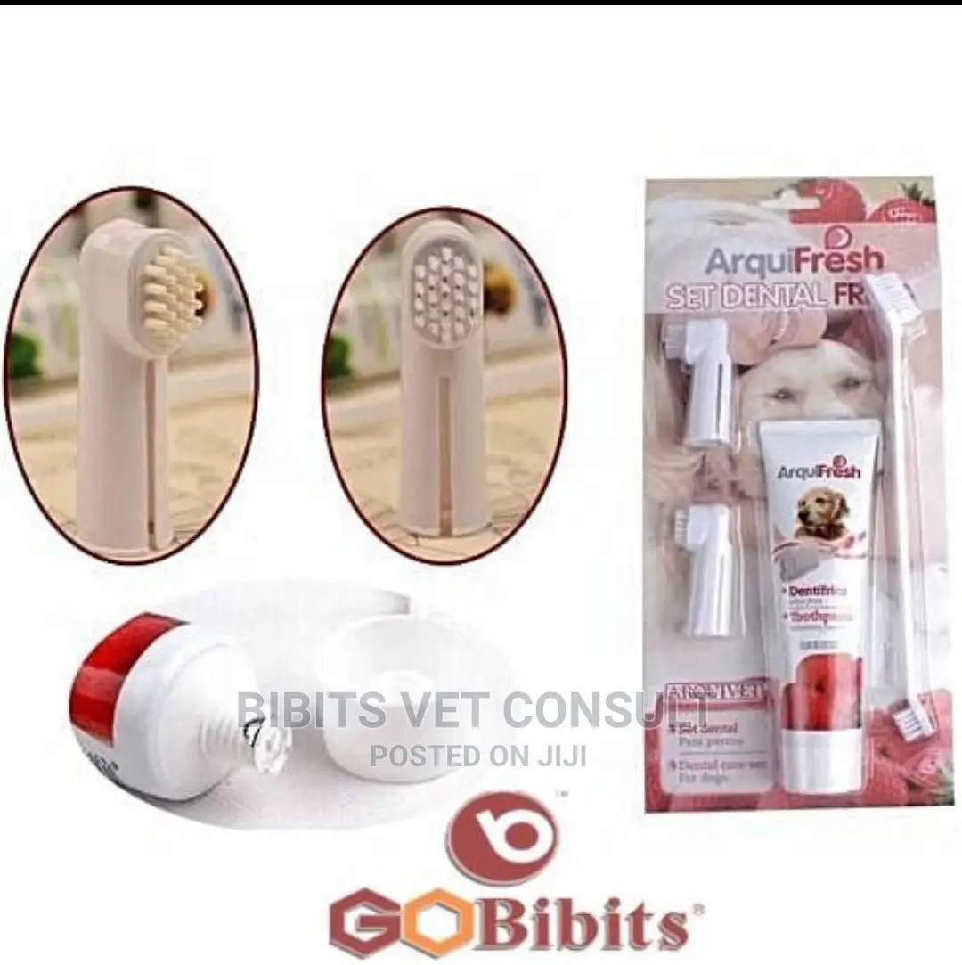 Pet Dog Cat Toothpaste Dental Care Set