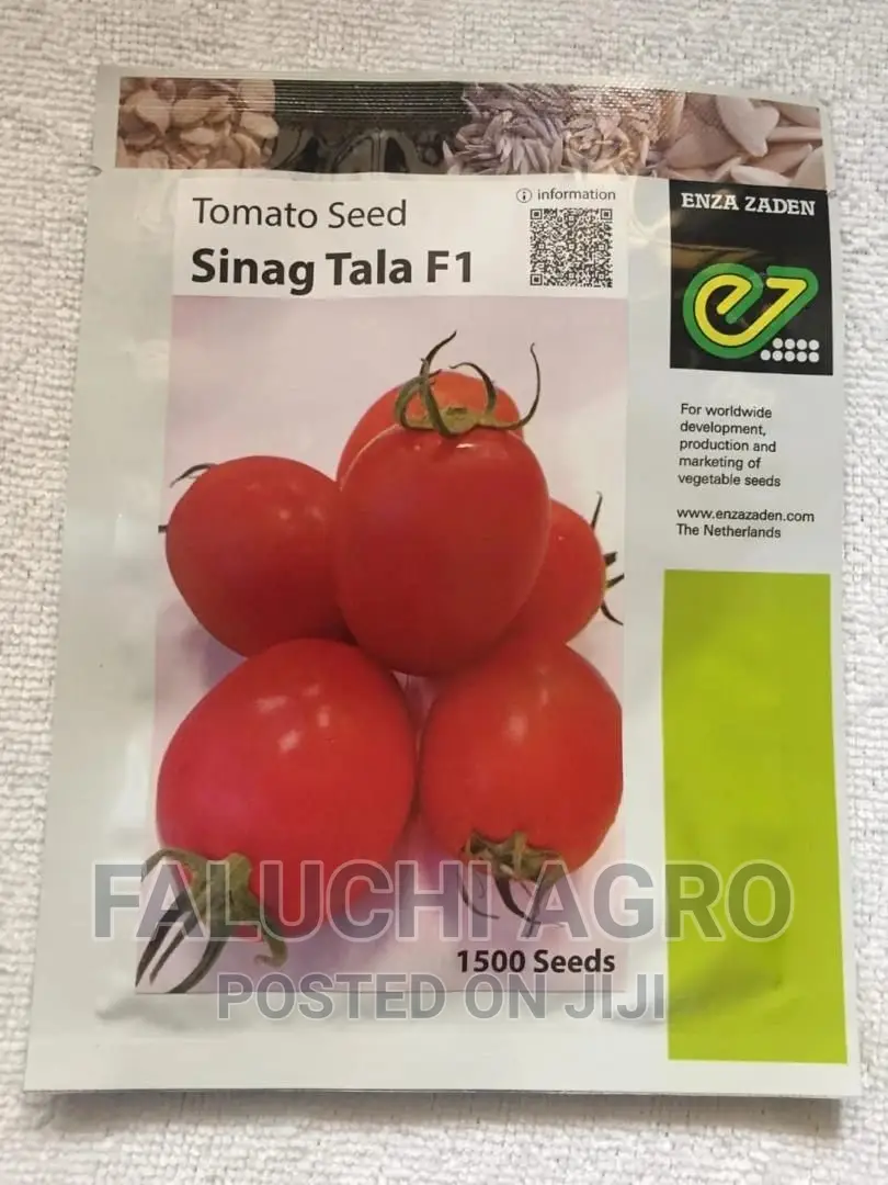 Hybrid Tomato Seeds Available