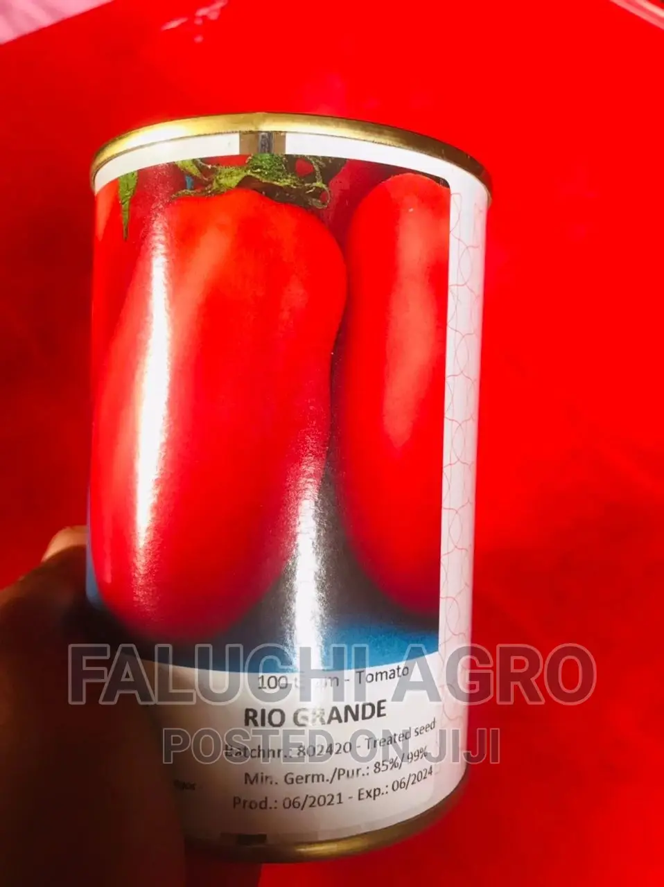 Hybrid Tomato Seeds Available
