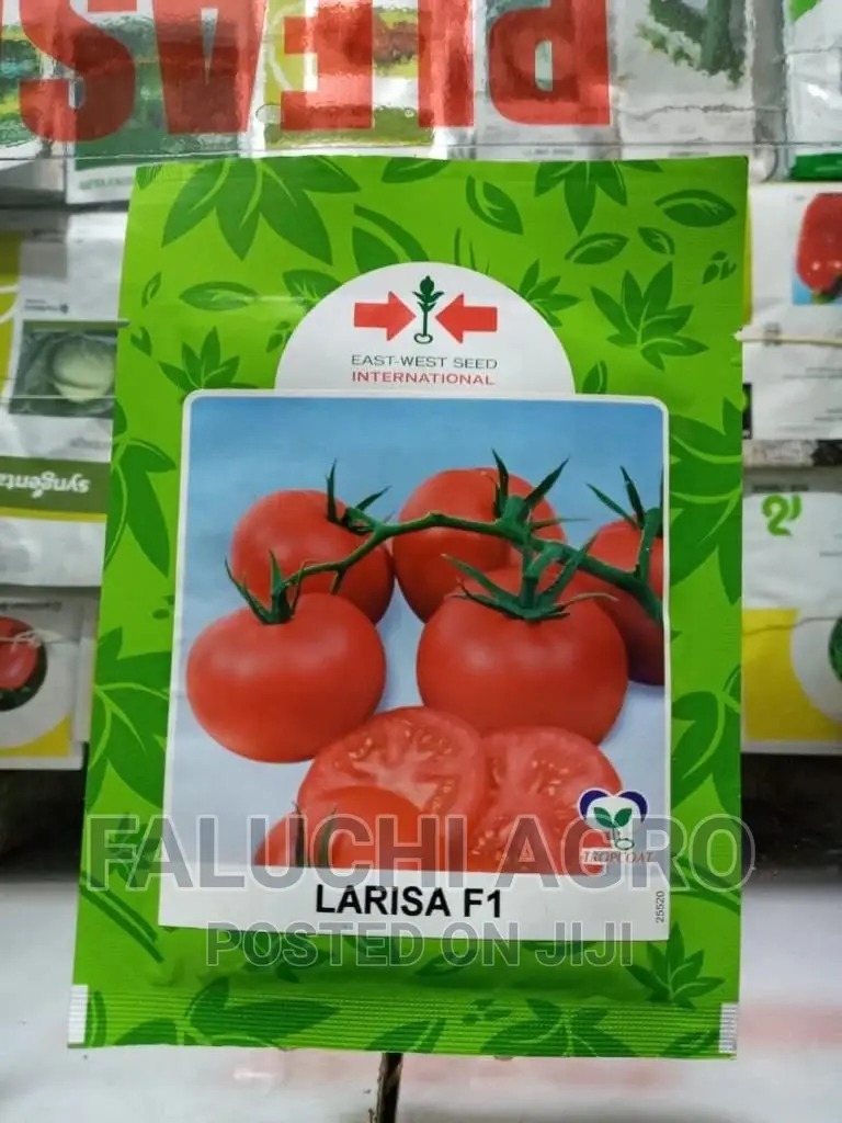Hybrid Tomato Seeds Available