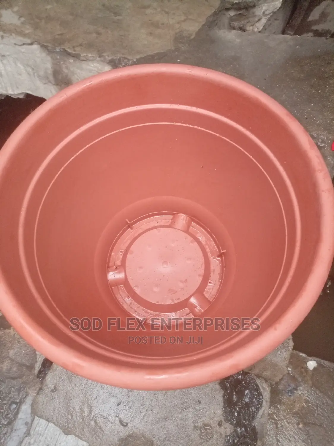 Biggest Flower Pot