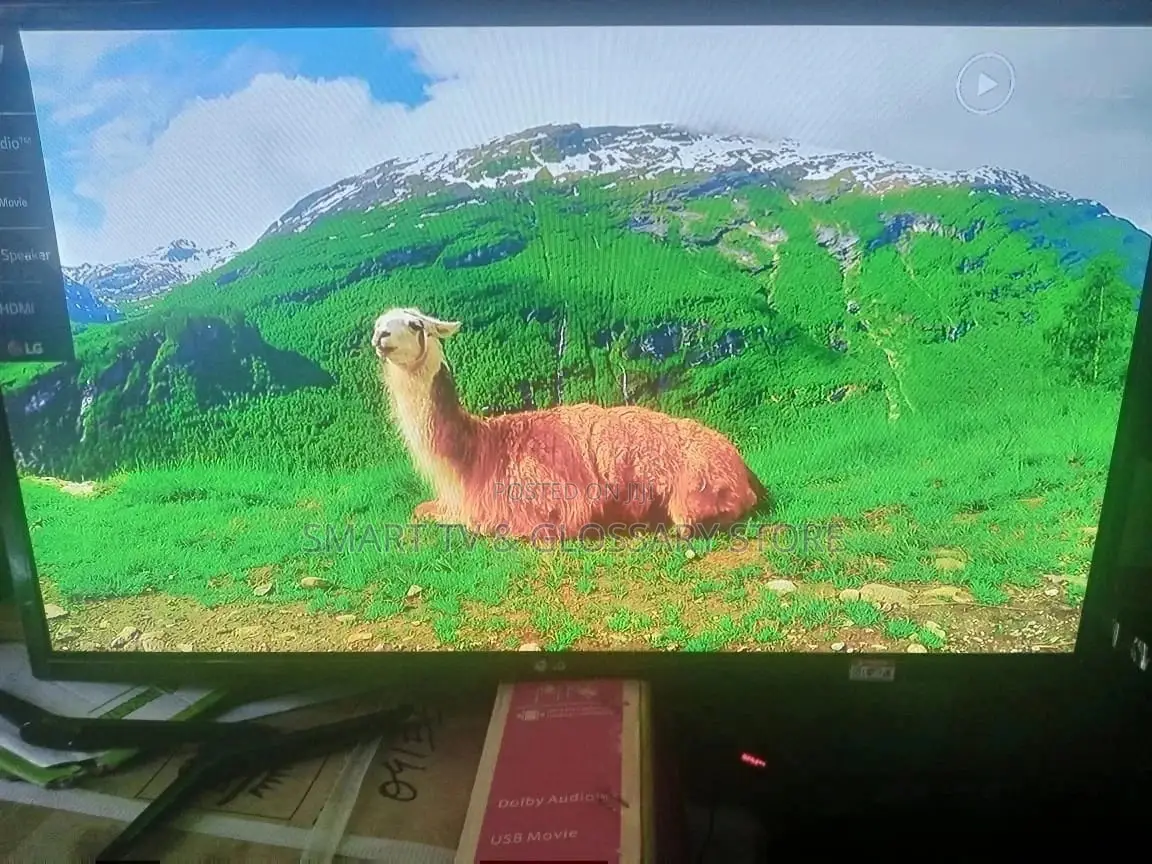 LED LG TV 43 " With USB