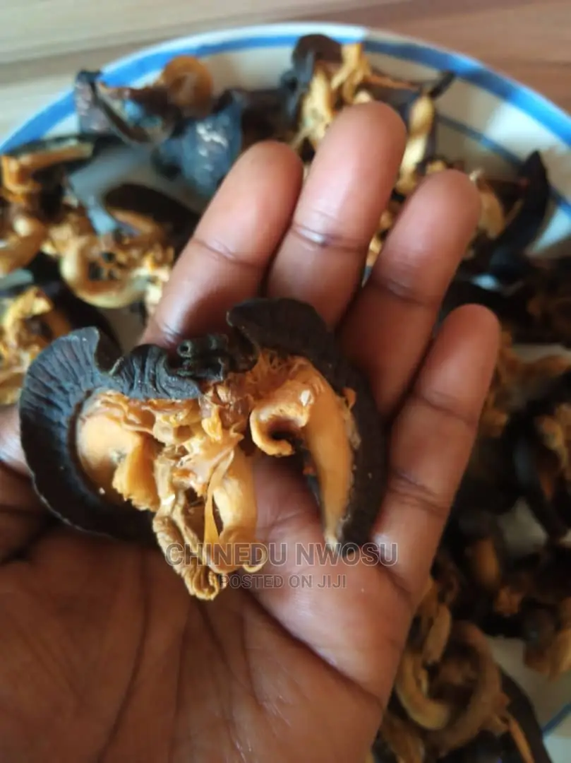 Oven -Dried Jumbo Snails(EXPORT INCLUSIVE)