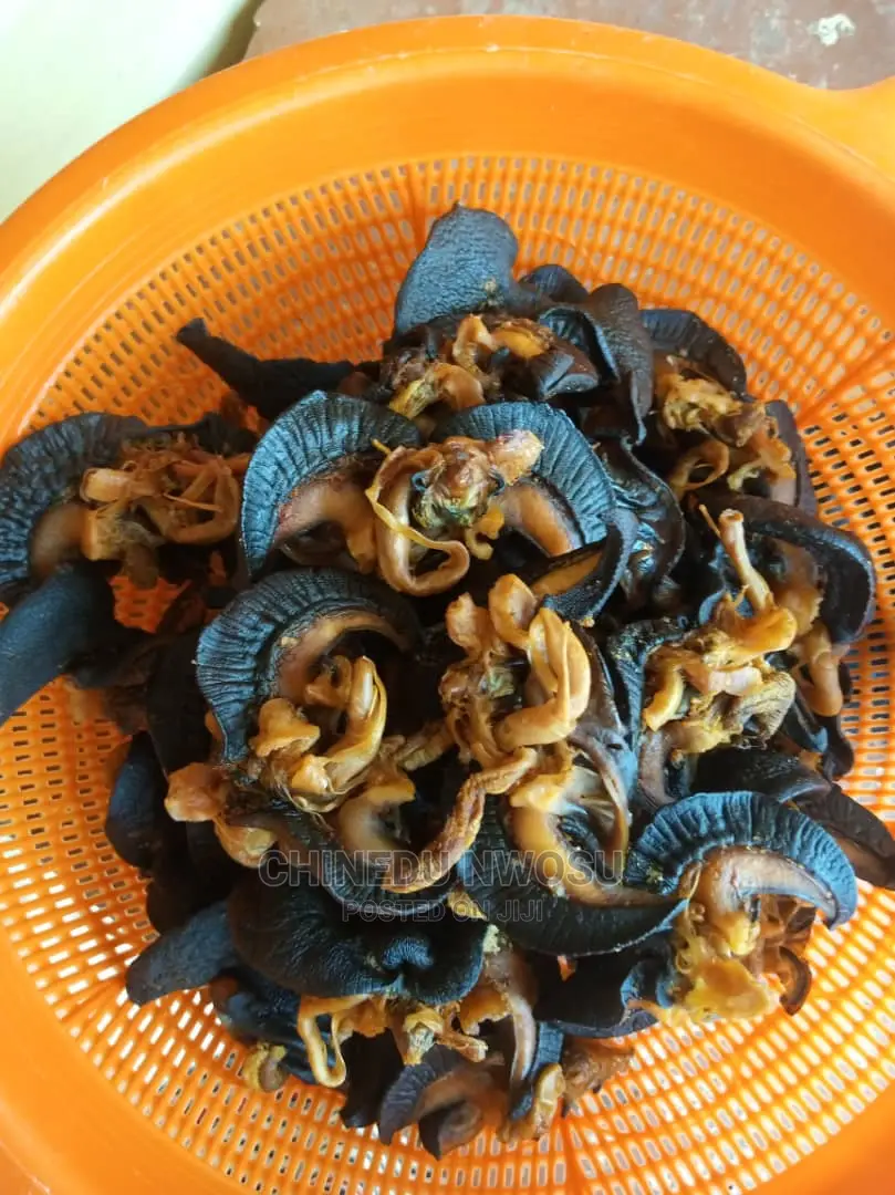 Oven -Dried Jumbo Snails(EXPORT INCLUSIVE)