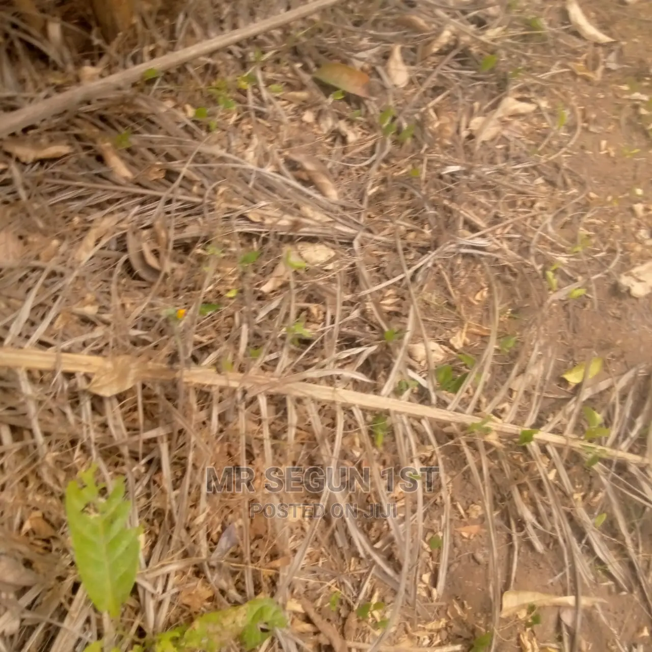 300sqm Plot of Land For Sale at Oyo Ibadan 