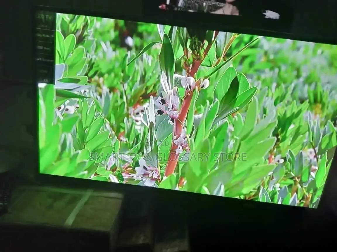 49" LG Smart Frameless TV