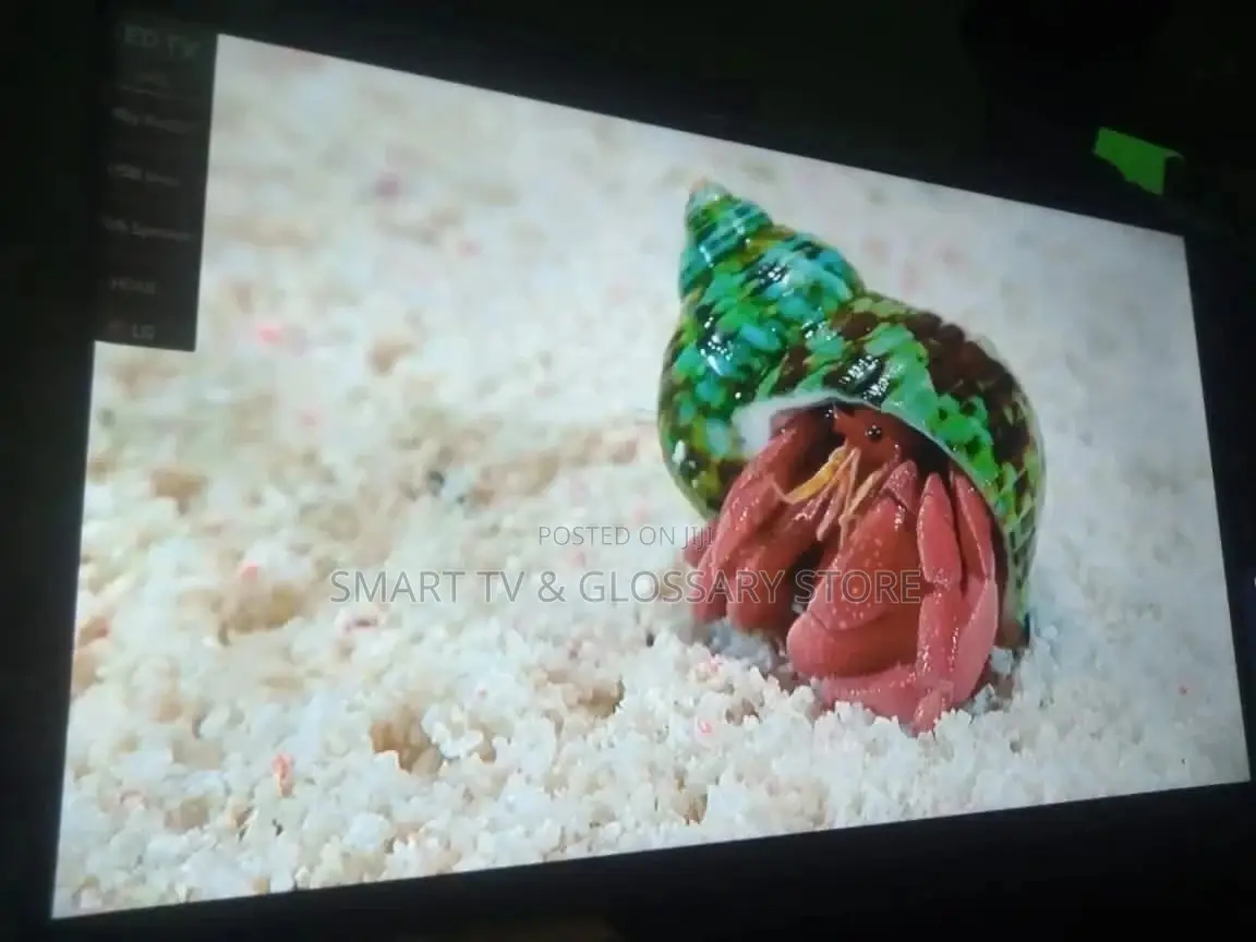 65" LG Smart TV