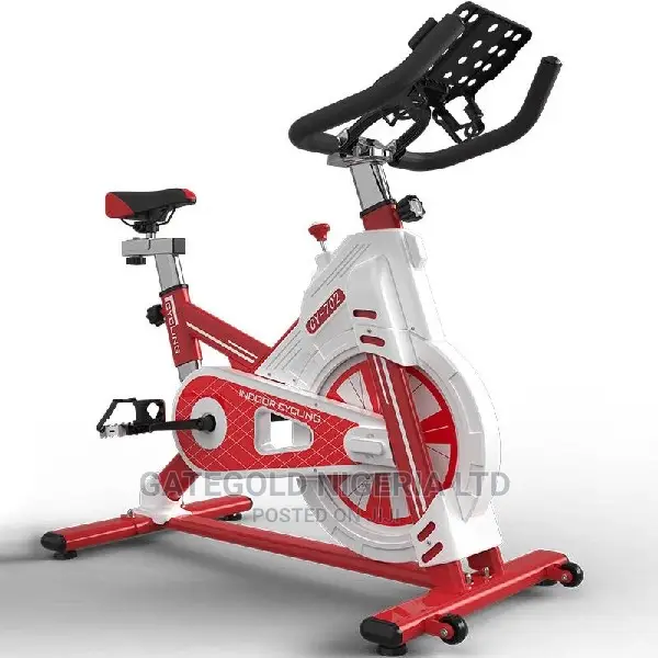 Cy-702 Spin Bike