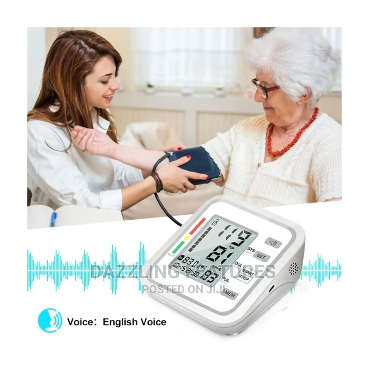 Electronic Blood Pressure Monitor