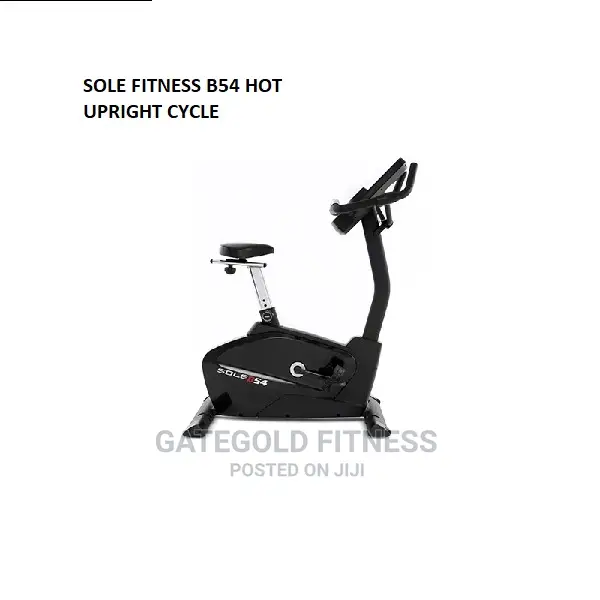 Sole Fitness B54 Upright Cycle