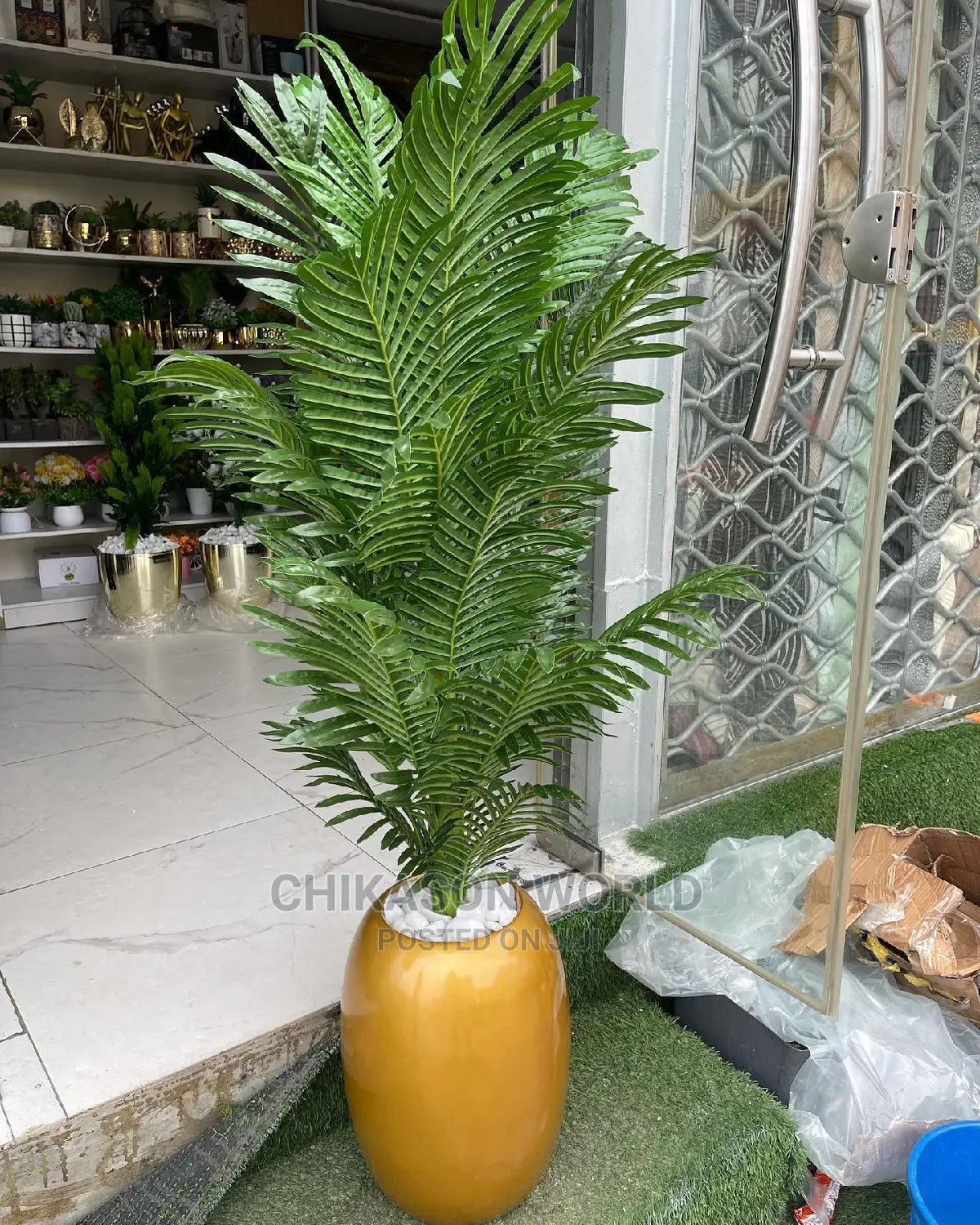 Plant Flower 🪴 and Vase
