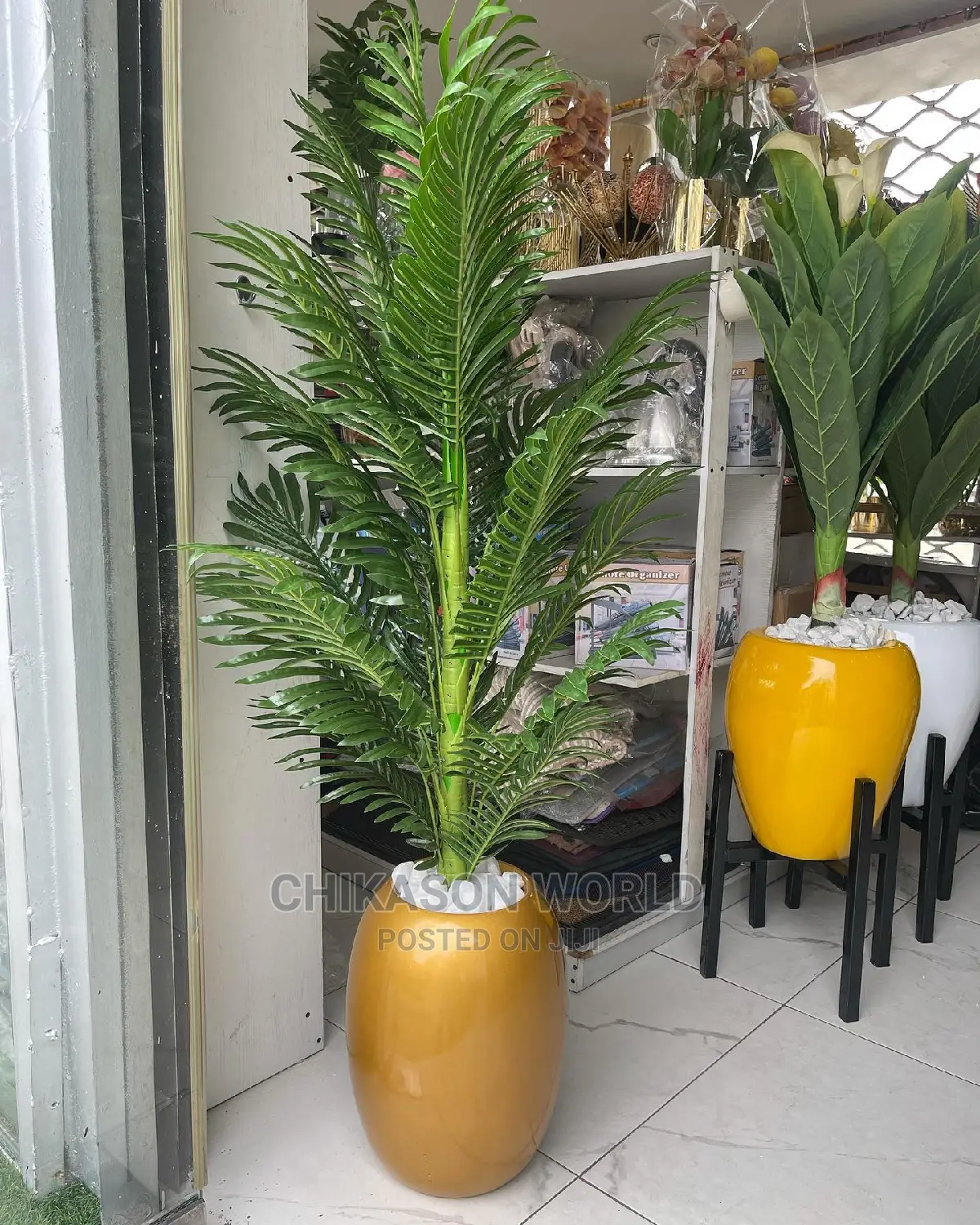 Plant Flower 🪴 and Vase