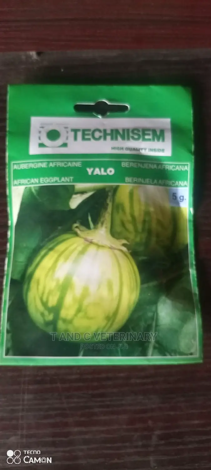 Yalo African Eggplant