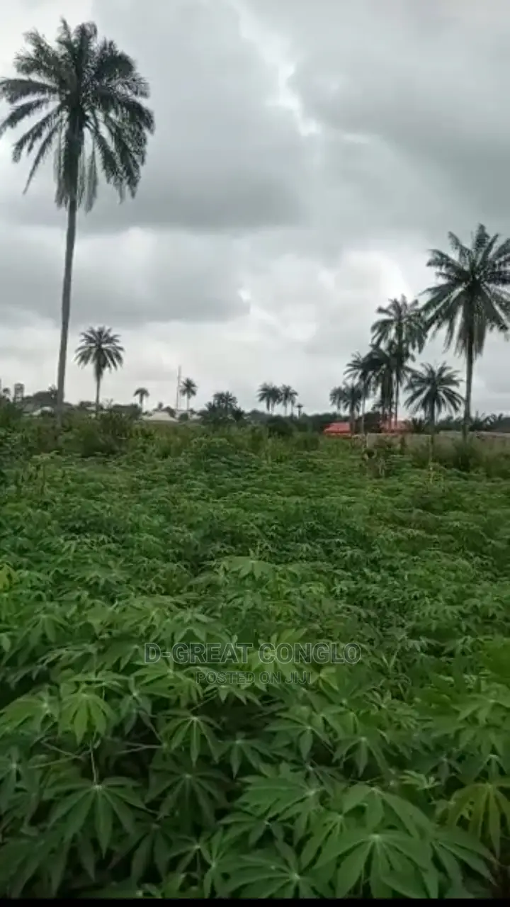 Sweet Table Land 200ft by 200ft Ibusa-Asaba Exp Way Ibusa