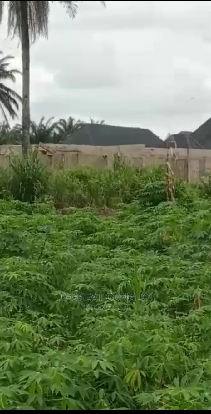 Sweet Table Land 200ft by 200ft Ibusa-Asaba Exp Way Ibusa