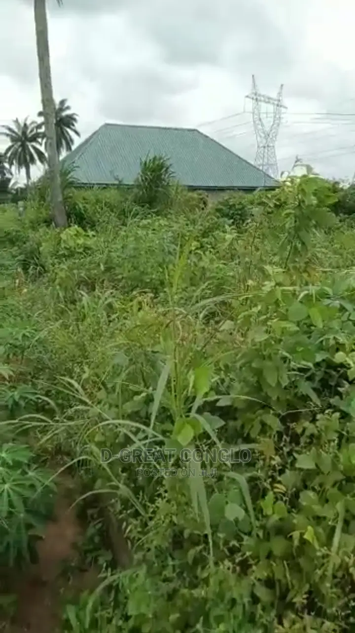 Sweet Table Land 200ft by 200ft Ibusa-Asaba Exp Way Ibusa