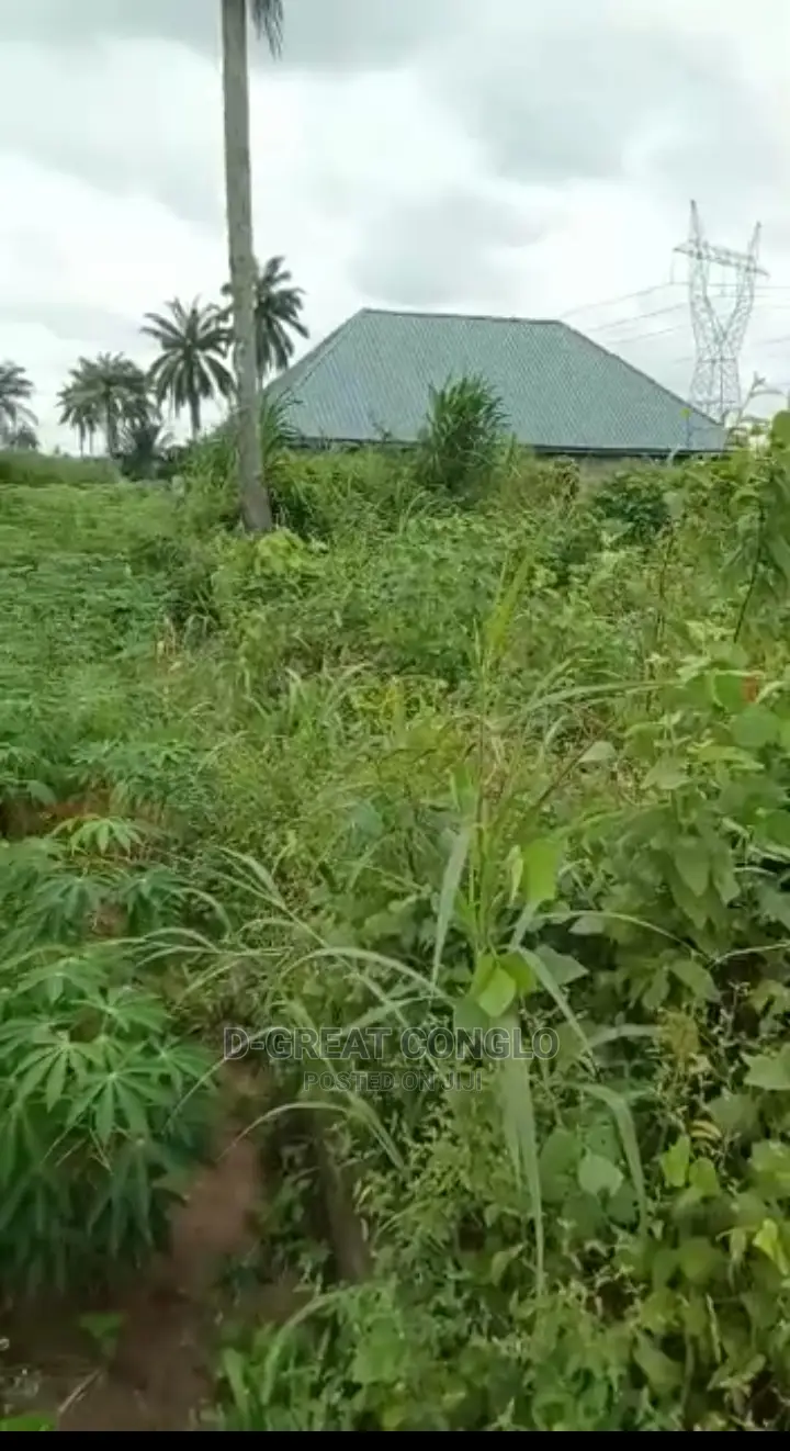 Sweet Table Land 200ft by 200ft Ibusa-Asaba Exp Way Ibusa
