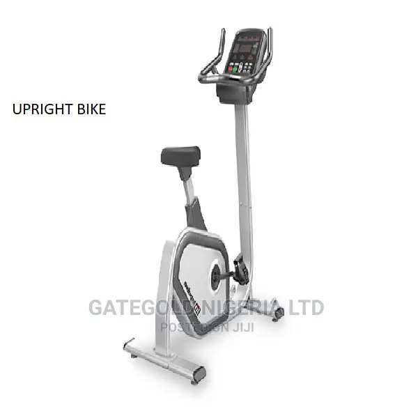 PU300 Commercial Upright Bike