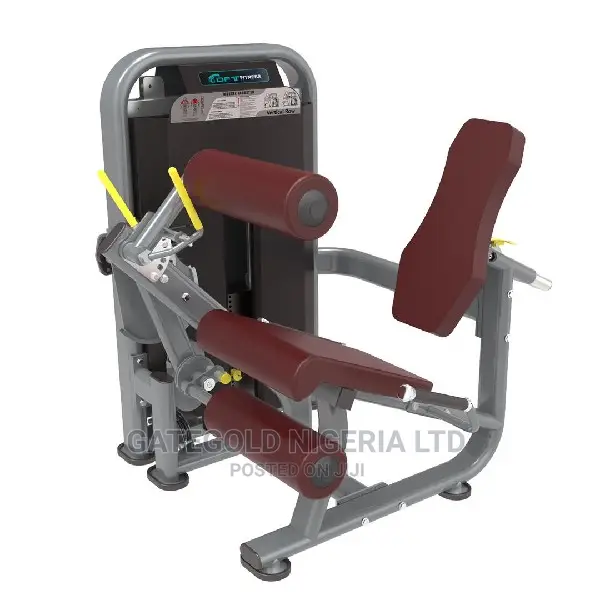 DFT1692 Leg Curl Leg Extension