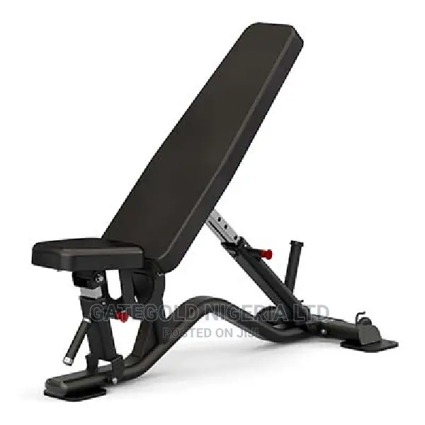 Sole Fitness Multi-Angle Ab Utility Bench (Sfi-100)