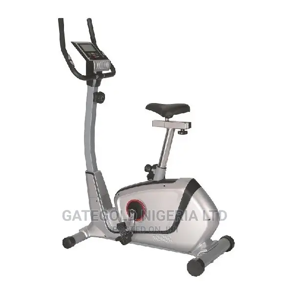 GG8727 Magnetic Bike
